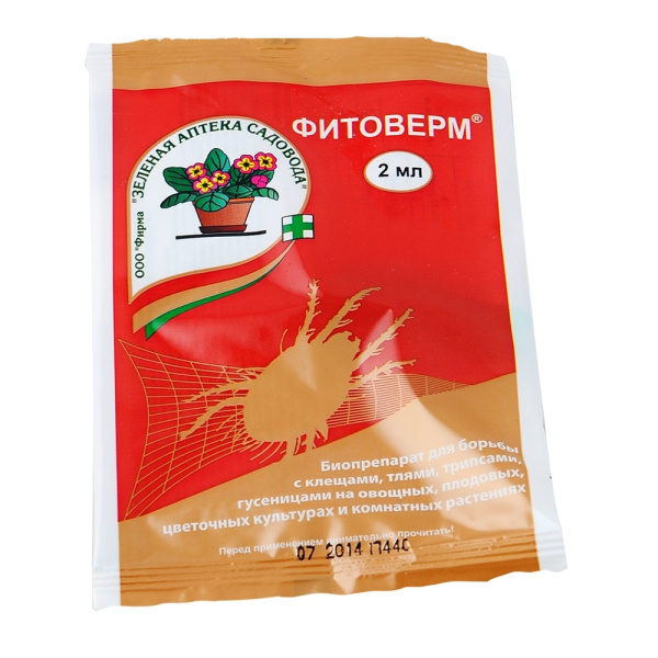 УТАГ0071909_0